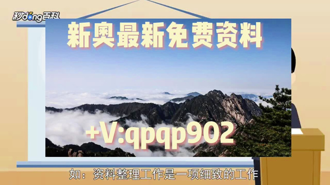 2024年正版资料免费大全功能介绍_效率资料含义落实_精简版3.211.11.226