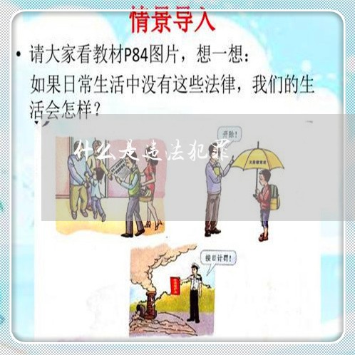 犯罪违法 第2页