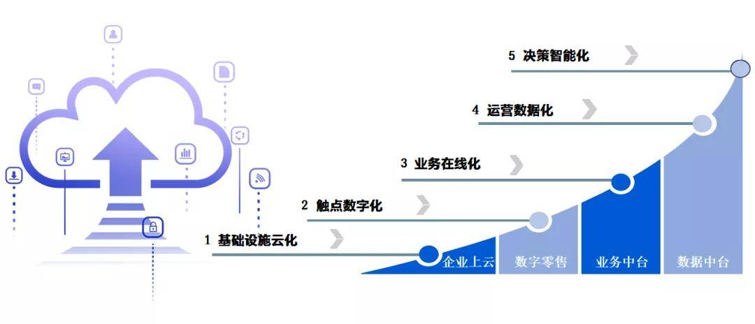 战略版数据（或战略版信息）